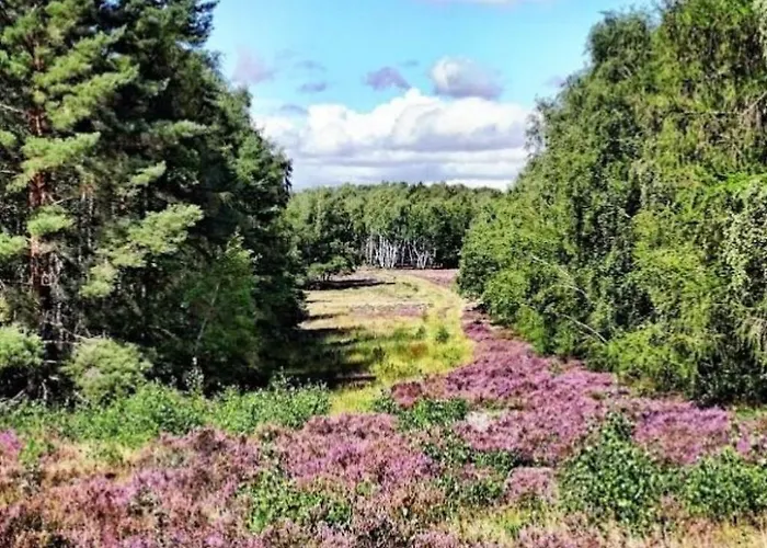 Appartamento Haus-fernblick By Interhome